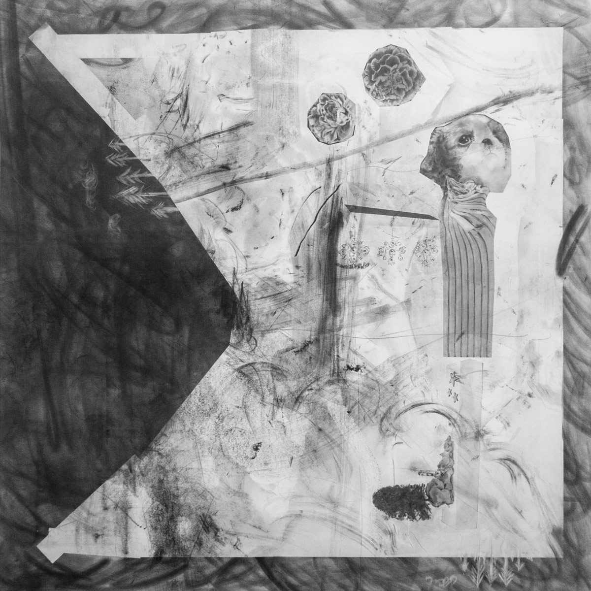 Artificial Kingdom II, Graphite on Paper, 100cm x 100xm, 2017